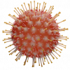 Coronavirus, uit webpagina UGent met info en richtlijnen, 2020