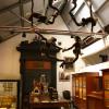 Aan August Kekulé wijdt het Museum voor de Geschiedenis van de Wetenschappen in De Sterre en hele hoek met Kekulé's tafel, archivalia en voorstelling van benzeenstructuur. (foto Pierre De Clercq)