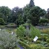 De Plantentuin van de UGent in 2010 (Collectie UGentMemorie, © UGent - foto Pieter Morlion).