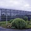 De Victoriaserre in de Plantentuin is toegankelijk voor publiek (2010) (Collectie UGentMemorie, © UGent - foto Pieter Morlion).