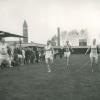 Deelnemers aan de 1500 meter tijdens een interuniversitaire sportontmoeting (Collectie Universiteitsarchief Gent - foto Albert Ritsaert)